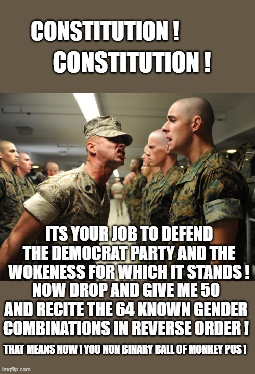 the future is here | CONSTITUTION ! CONSTITUTION ! ITS YOUR JOB TO DEFEND THE DEMOCRAT PARTY AND THE WOKENESS FOR WHICH IT STANDS ! NOW DROP AND GIVE ME 50 AND RECITE THE 64 KNOWN GENDER COMBINATIONS IN REVERSE ORDER ! THAT MEANS NOW ! YOU NON BINARY BALL OF MONKEY PUS ! | image tagged in democrats,fascism | made w/ Imgflip meme maker