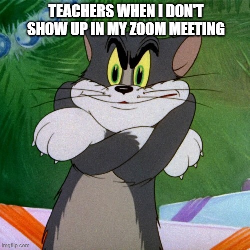TEACHERS WHEN I DON'T SHOW UP IN MY ZOOM MEETING | image tagged in funny memes | made w/ Imgflip meme maker