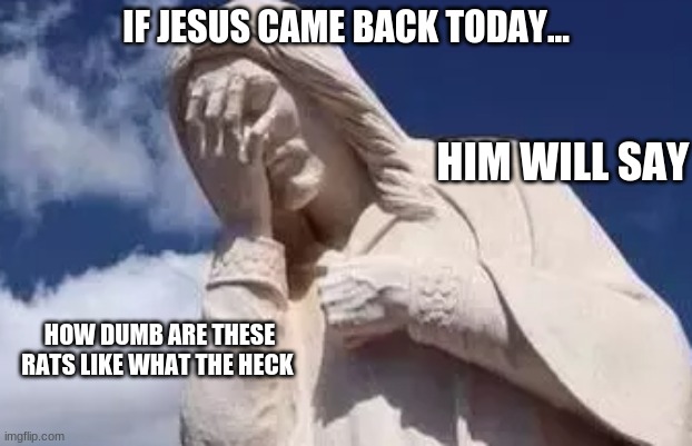 Jesus is coming back | IF JESUS CAME BACK TODAY... HIM WILL SAY; HOW DUMB ARE THESE RATS LIKE WHAT THE HECK | image tagged in jesus christ | made w/ Imgflip meme maker