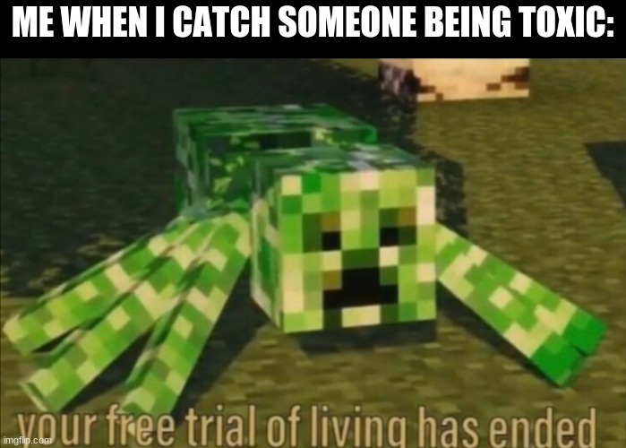 Toxic-b-gone | ME WHEN I CATCH SOMEONE BEING TOXIC: | image tagged in your free trial of living has ended | made w/ Imgflip meme maker