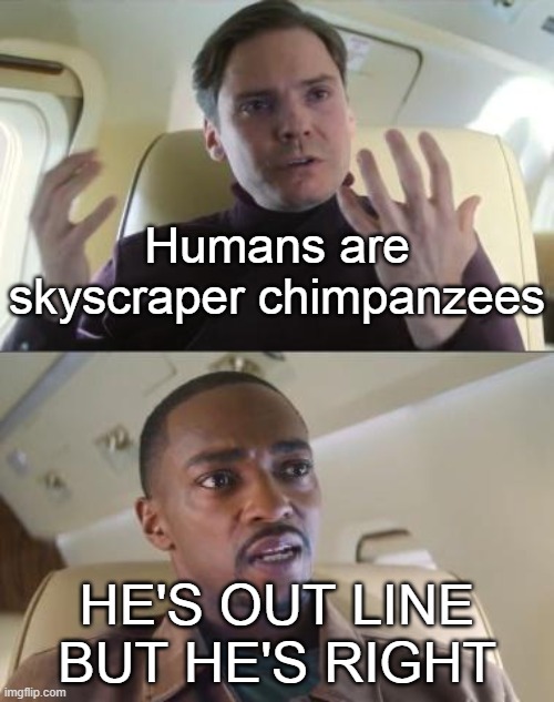 Give or take some hair.... mostly take | Humans are skyscraper chimpanzees; HE'S OUT LINE BUT HE'S RIGHT | image tagged in out of line but he's right,chimpanzee,humans,memes | made w/ Imgflip meme maker