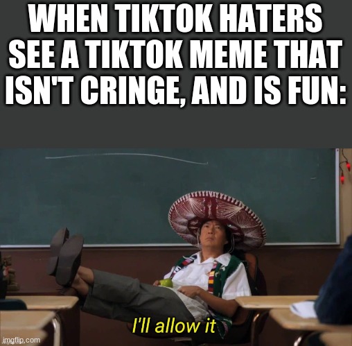 I'll allow it | WHEN TIKTOK HATERS SEE A TIKTOK MEME THAT ISN'T CRINGE, AND IS FUN: | image tagged in i'll allow it | made w/ Imgflip meme maker