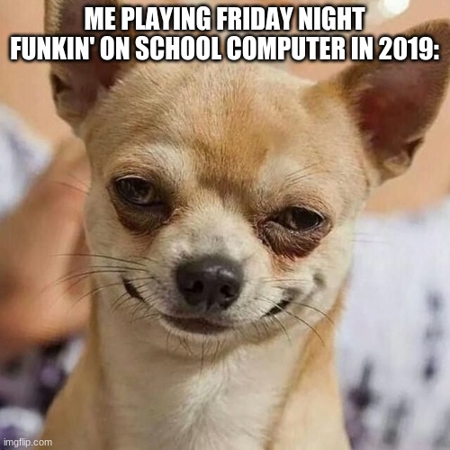 Smirking Dog | ME PLAYING FRIDAY NIGHT FUNKIN' ON SCHOOL COMPUTER IN 2019: | image tagged in smirking dog | made w/ Imgflip meme maker