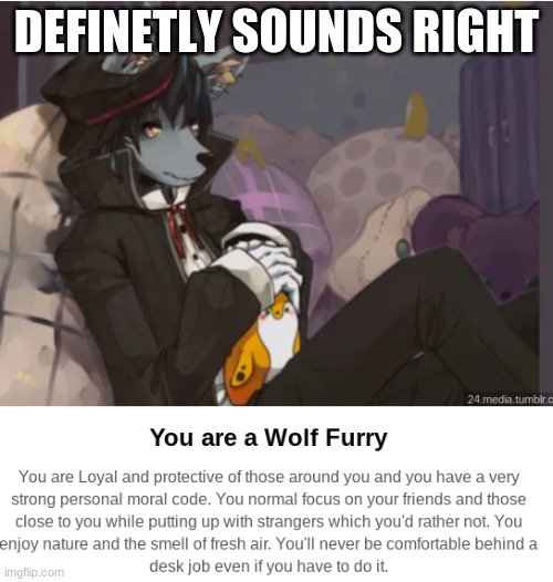 DEFINETLY SOUNDS RIGHT | made w/ Imgflip meme maker