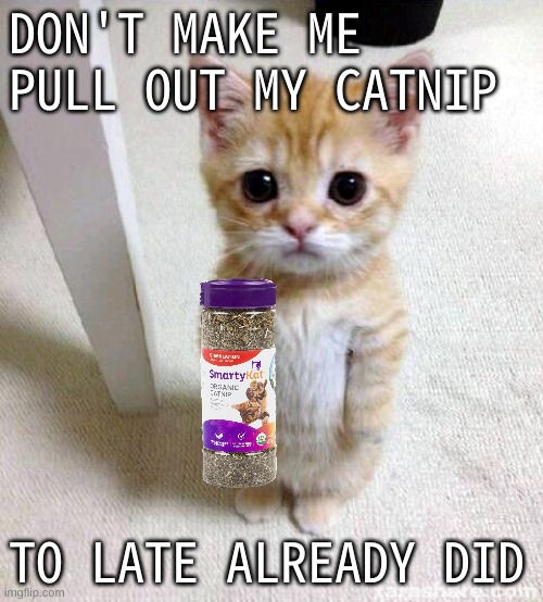CUTE FUNNY HARD WORK | DON'T MAKE ME PULL OUT MY CATNIP; TO LATE ALREADY DID | image tagged in memes,cute cat | made w/ Imgflip meme maker