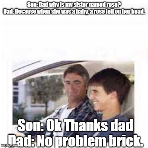 Yeah. | Son: Dad why is my sister named rose?
Dad: Because when she was a baby, a rose fell on her head. Son: Ok Thanks dad
Dad: No problem brick. | image tagged in not funny | made w/ Imgflip meme maker