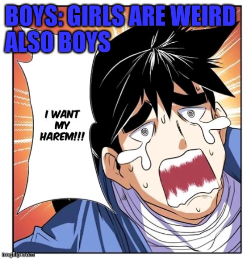 BOYS: GIRLS ARE WEIRD
ALSO BOYS | made w/ Imgflip meme maker