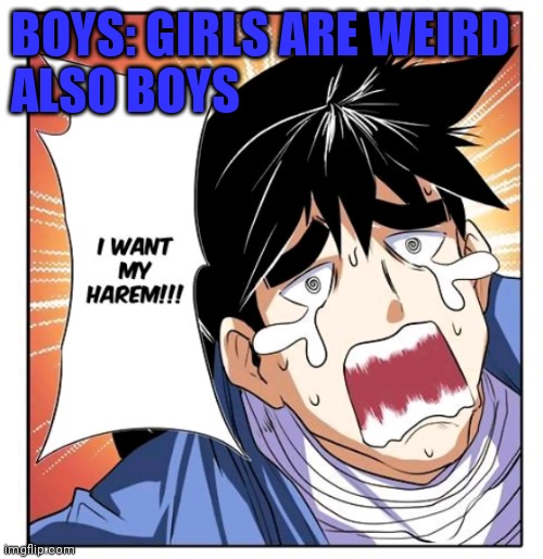 Im still waiting for mine | BOYS: GIRLS ARE WEIRD
ALSO BOYS | image tagged in boys vs girls,funny memes,manga | made w/ Imgflip meme maker
