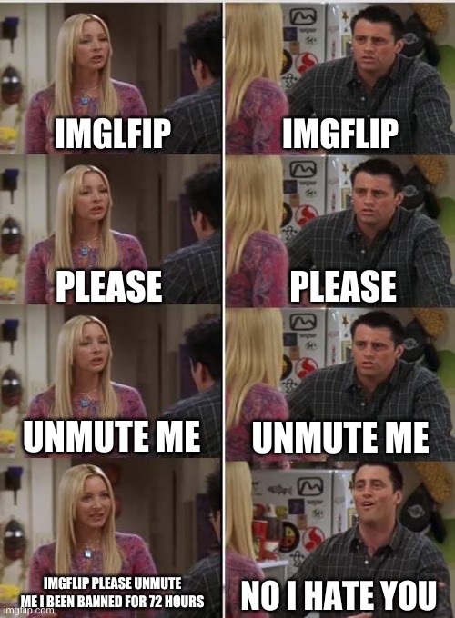 Imgflip Be like | IMGLFIP; IMGFLIP; PLEASE; PLEASE; UNMUTE ME; UNMUTE ME; IMGFLIP PLEASE UNMUTE ME I BEEN BANNED FOR 72 HOURS; NO I HATE YOU | image tagged in phoebe joey,bruh moment,seriously,wow,imgflip | made w/ Imgflip meme maker