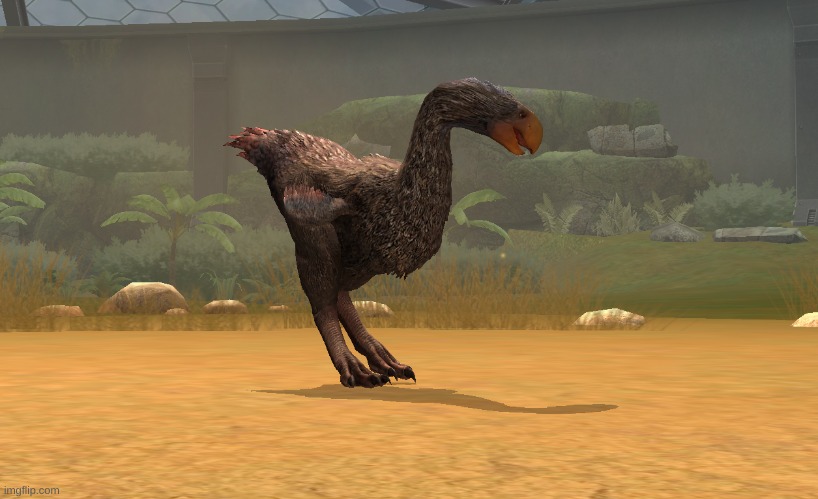 Ayyyyyy, a lvl 20 gastornis | made w/ Imgflip meme maker