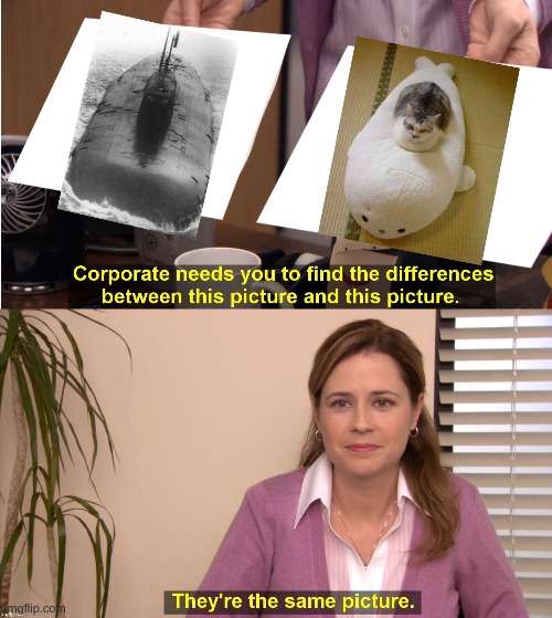 they're the same picture | image tagged in memes,funny memes,dank memes,cat memes,the office,funny cat memes | made w/ Imgflip meme maker