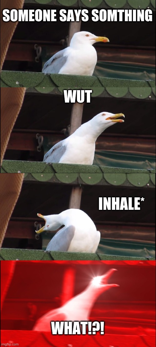 Inhaling Seagull | SOMEONE SAYS SOMTHING; WUT; INHALE*; WHAT!?! | image tagged in memes,inhaling seagull | made w/ Imgflip meme maker