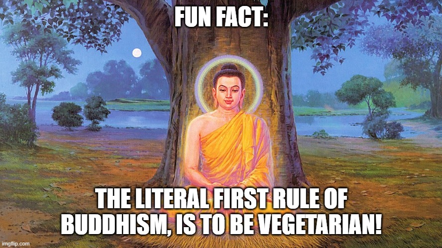 Vegetarian religion! xD |  FUN FACT:; THE LITERAL FIRST RULE OF BUDDHISM, IS TO BE VEGETARIAN! | image tagged in buddha buddhism buddhist,buddhism,vegetarian,vegan,bruh,memes | made w/ Imgflip meme maker