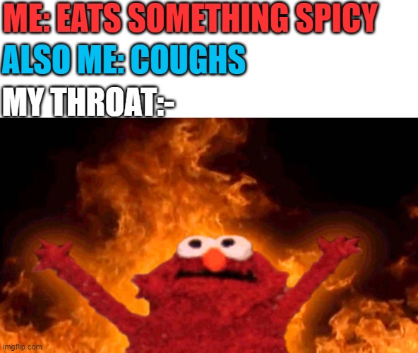 Spiced up throat | ME: EATS SOMETHING SPICY; ALSO ME: COUGHS; MY THROAT:- | image tagged in elmo fire | made w/ Imgflip meme maker