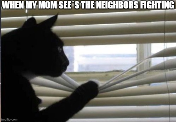 feels like every mom acts this way. . . | WHEN MY MOM SEE`S THE NEIGHBORS FIGHTING | image tagged in cat looking through window | made w/ Imgflip meme maker