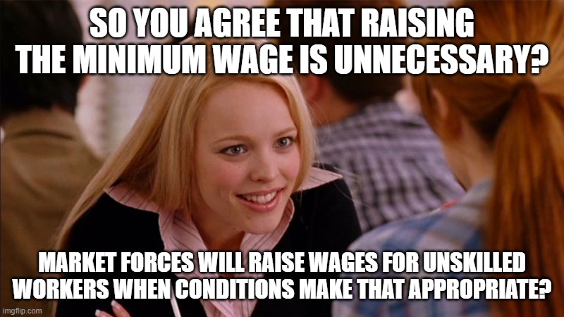 So You Agree | SO YOU AGREE THAT RAISING THE MINIMUM WAGE IS UNNECESSARY? MARKET FORCES WILL RAISE WAGES FOR UNSKILLED WORKERS WHEN CONDITIONS MAKE THAT APPROPRIATE? | image tagged in so you agree | made w/ Imgflip meme maker