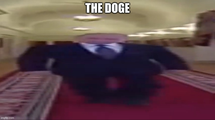 Wide putin | THE DOGE | image tagged in wide putin | made w/ Imgflip meme maker