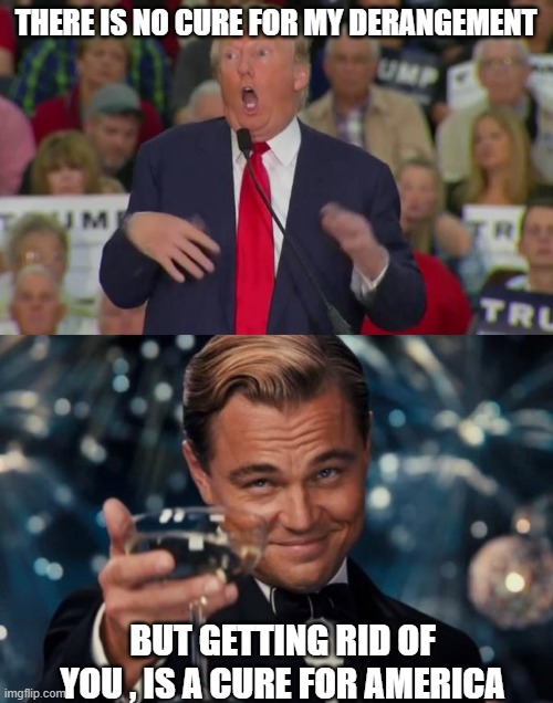 THERE IS NO CURE FOR MY DERANGEMENT BUT GETTING RID OF YOU , IS A CURE FOR AMERICA | image tagged in donald trump mocking disabled,memes,leonardo dicaprio cheers | made w/ Imgflip meme maker