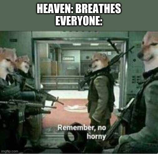 Horny dog remember no horny | HEAVEN: BREATHES
EVERYONE: | image tagged in horny dog remember no horny | made w/ Imgflip meme maker