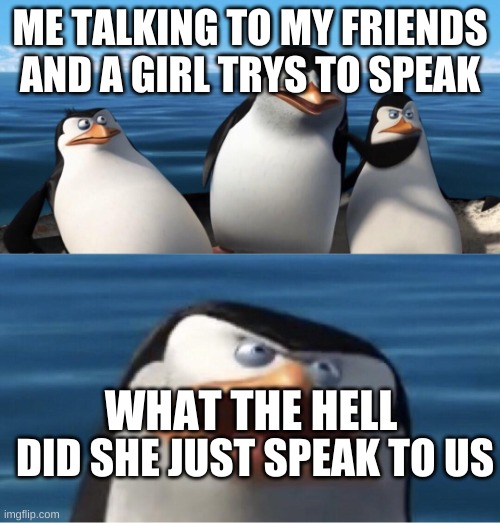 ?????? | ME TALKING TO MY FRIENDS AND A GIRL TRYS TO SPEAK; WHAT THE HELL; DID SHE JUST SPEAK TO US | image tagged in wouldn't that make you | made w/ Imgflip meme maker