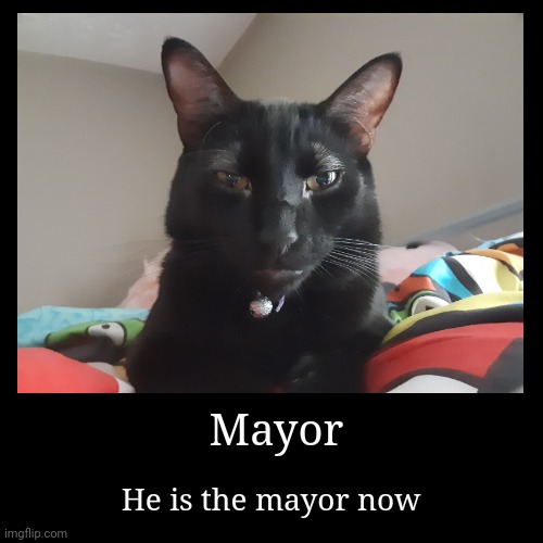Mayor | Mayor | He is the mayor now | image tagged in funny,demotivationals | made w/ Imgflip demotivational maker