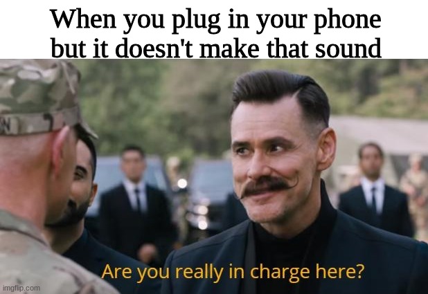 Happens all the time | When you plug in your phone but it doesn't make that sound | image tagged in are you really in charge here,relatable | made w/ Imgflip meme maker