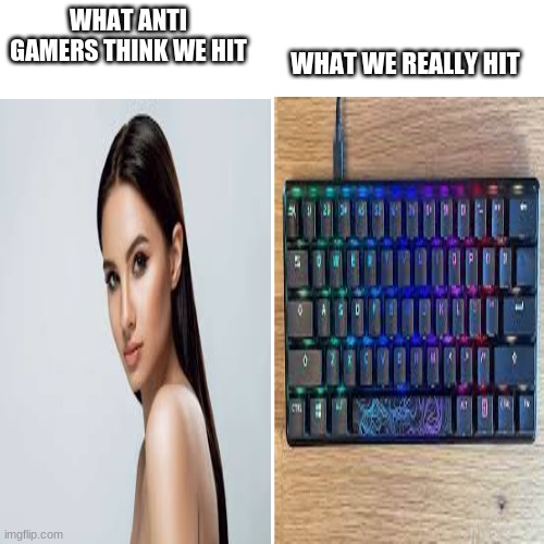 Blank Transparent Square Meme | WHAT WE REALLY HIT; WHAT ANTI GAMERS THINK WE HIT | image tagged in memes,blank transparent square | made w/ Imgflip meme maker