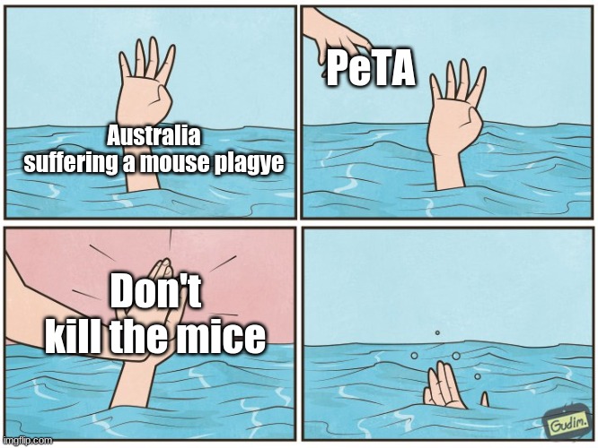 Why aren't they shut down yet? | PeTA; Australia suffering a mouse plagye; Don't kill the mice | image tagged in high five drown,peta,mice | made w/ Imgflip meme maker