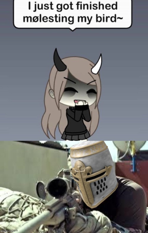 the absolute heresy | image tagged in actual crusader sniper | made w/ Imgflip meme maker