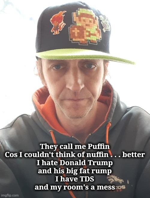 They call me Puffin
Cos I couldn't think of nuffin . . . better
I hate Donald Trump
and his big fat rump
I have TDS
and my room's a mess | made w/ Imgflip meme maker