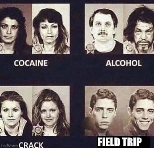 Cocain, alcohol, crack, happy | FIELD TRIP | image tagged in cocain alcohol crack happy | made w/ Imgflip meme maker