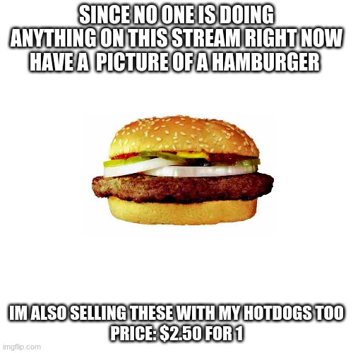 no one is doing anything | SINCE NO ONE IS DOING ANYTHING ON THIS STREAM RIGHT NOW HAVE A  PICTURE OF A HAMBURGER; IM ALSO SELLING THESE WITH MY HOTDOGS TOO
PRICE: $2.50 FOR 1 | image tagged in memes,blank transparent square | made w/ Imgflip meme maker