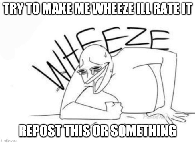 Wheeze | TRY TO MAKE ME WHEEZE ILL RATE IT; REPOST THIS OR SOMETHING | image tagged in wheeze | made w/ Imgflip meme maker