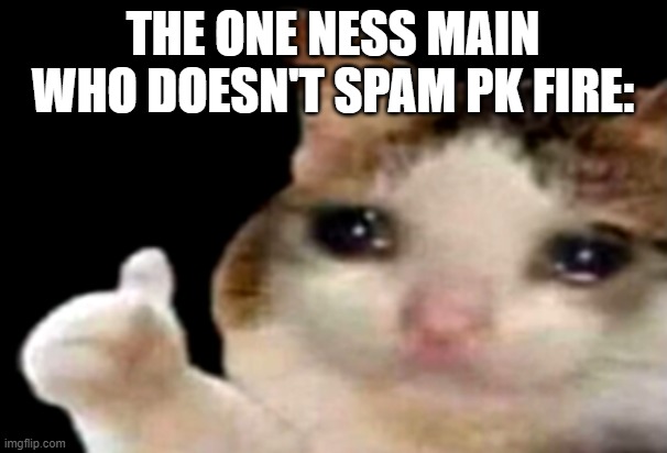 Sad cat thumbs up | THE ONE NESS MAIN WHO DOESN'T SPAM PK FIRE: | image tagged in sad cat thumbs up | made w/ Imgflip meme maker