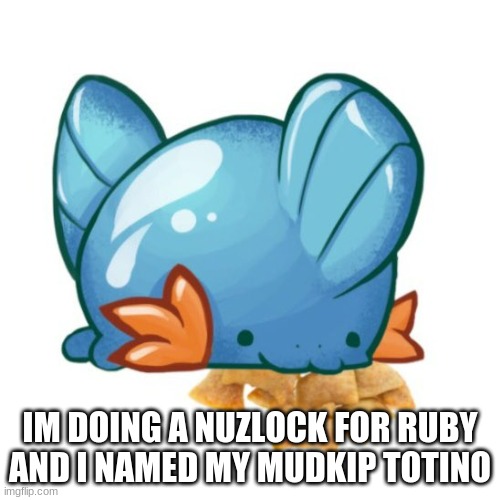 mudkip totino | IM DOING A NUZLOCK FOR RUBY AND I NAMED MY MUDKIP TOTINO | image tagged in mudkip totino | made w/ Imgflip meme maker