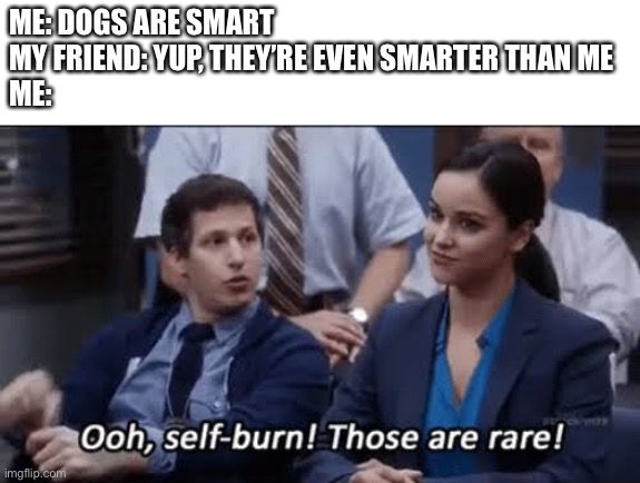 True story | ME: DOGS ARE SMART
MY FRIEND: YUP, THEY’RE EVEN SMARTER THAN ME
ME: | image tagged in ooh self-burn those are rare,dogs,friends,smart | made w/ Imgflip meme maker