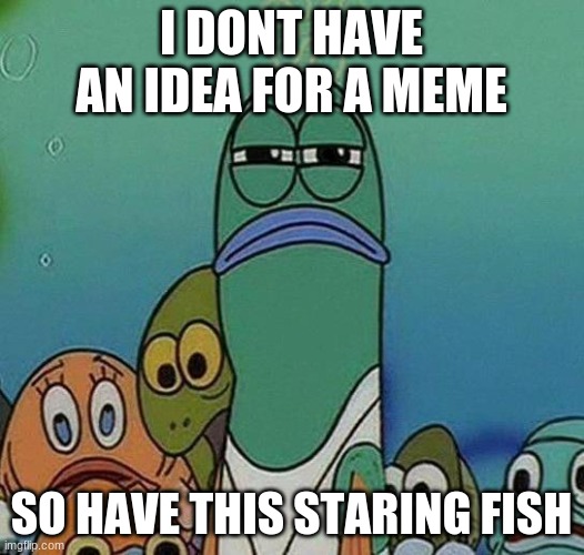 SpongeBob | I DONT HAVE AN IDEA FOR A MEME; SO HAVE THIS STARING FISH | image tagged in spongebob,idk | made w/ Imgflip meme maker