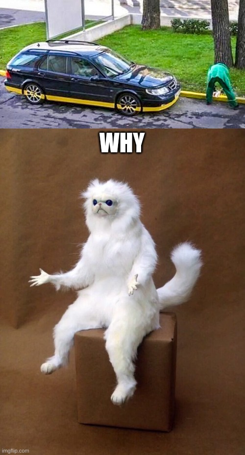 Nice paint job? | WHY | image tagged in but why cat | made w/ Imgflip meme maker