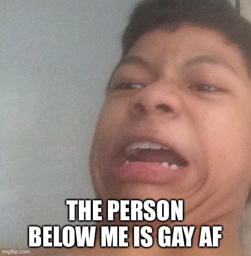 Akifhaziq disgusted face | THE PERSON BELOW ME IS GAY AF | image tagged in akifhaziq disgusted face | made w/ Imgflip meme maker