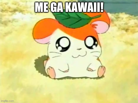 Me Ga Kawaii! | ME GA KAWAII! 目が可愛い！ | image tagged in memes,hamtaro | made w/ Imgflip meme maker