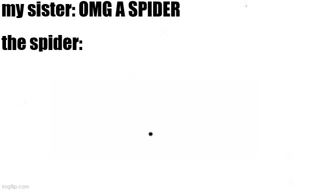 bruh | my sister: OMG A SPIDER; the spider: | image tagged in funny,memes,funny memes | made w/ Imgflip meme maker