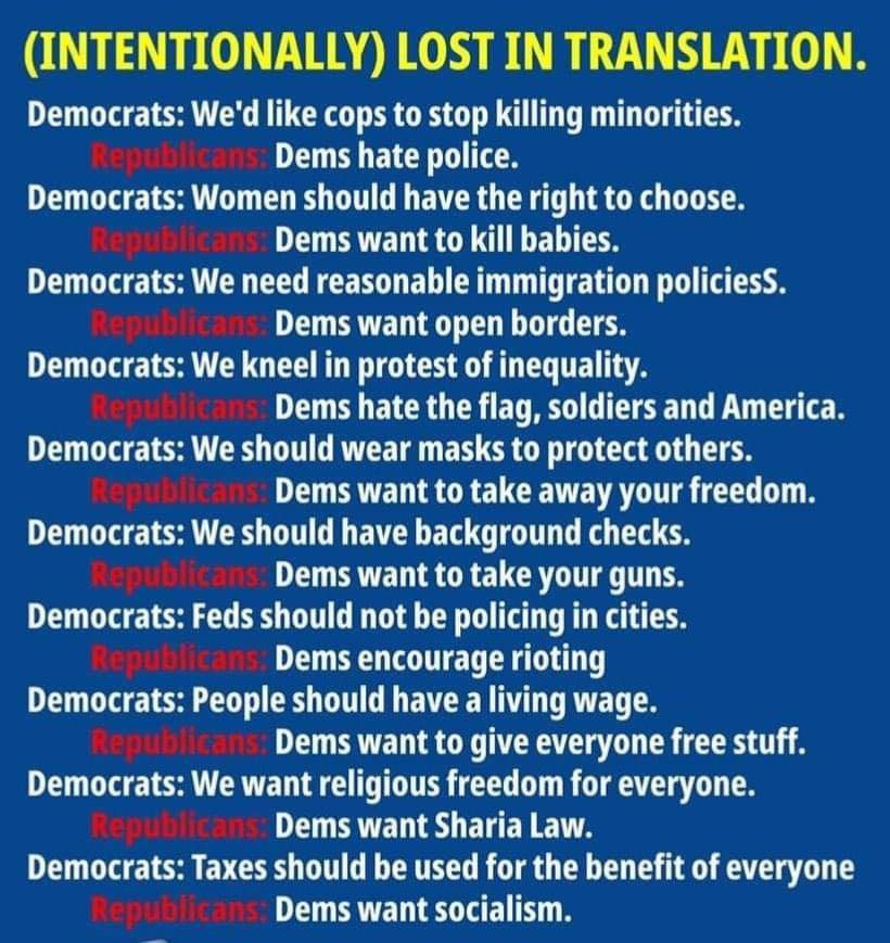 Conservative logic intentionally lost in translation Blank Meme Template