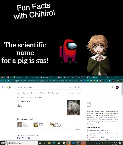 the pig is sus!!!!!!!!!!!!!!!!!!!!!!!!!! | The scientific name for a pig is sus! | image tagged in fun facts with chihiro template danganronpa thh,funny,pig,among us,sus,wtf | made w/ Imgflip meme maker