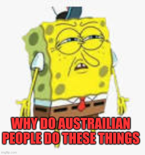 Very confused-bob | WHY DO AUSTRAILIAN PEOPLE DO THESE THINGS | image tagged in very confused-bob | made w/ Imgflip meme maker