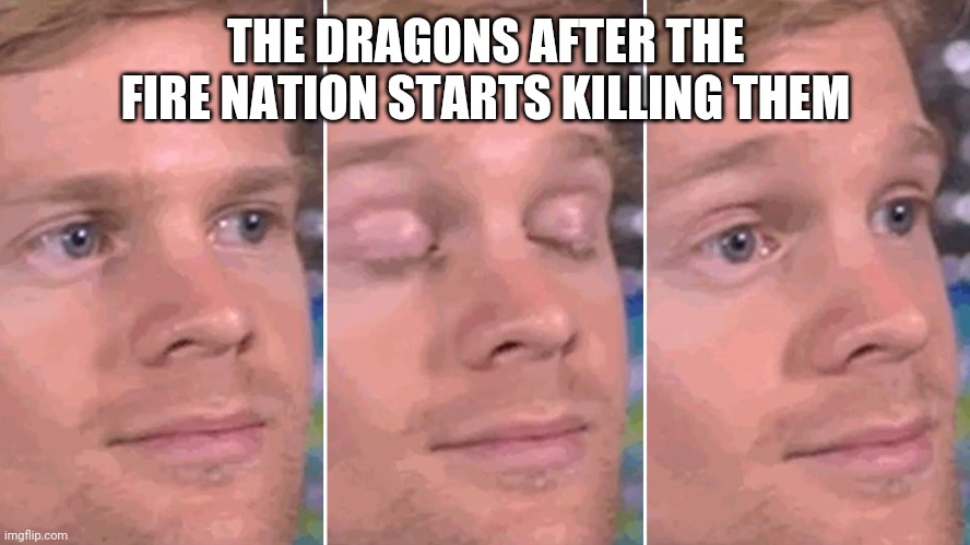  THE DRAGONS AFTER THE FIRE NATION STARTS KILLING THEM | image tagged in white guy,sokka,avatar the last airbender | made w/ Imgflip meme maker
