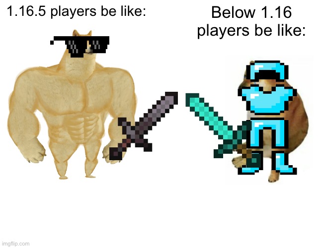 Buff Doge vs. Cheems | 1.16.5 players be like:; Below 1.16 players be like: | image tagged in memes,buff doge vs cheems | made w/ Imgflip meme maker