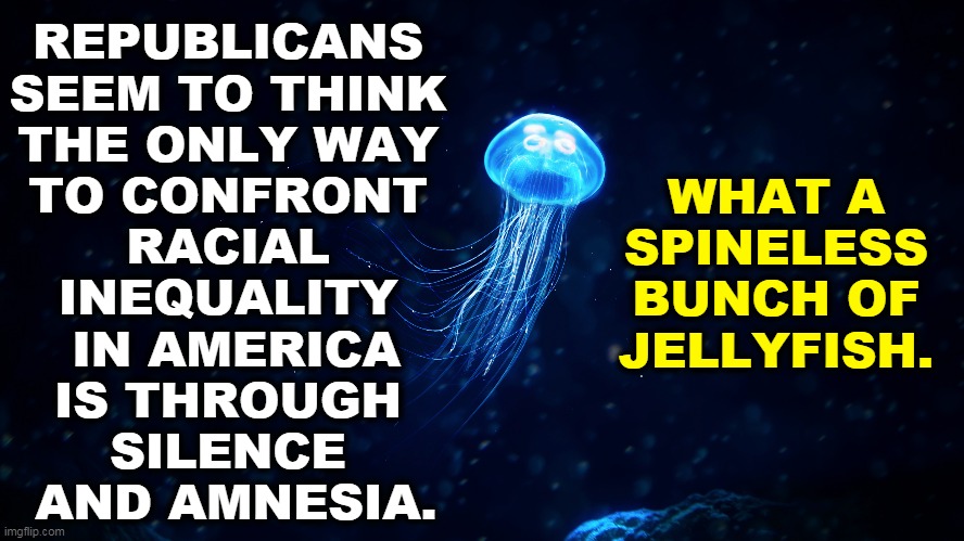 REPUBLICANS 
SEEM TO THINK 
THE ONLY WAY 
TO CONFRONT 
RACIAL 
INEQUALITY 
IN AMERICA
IS THROUGH 
SILENCE 
AND AMNESIA. WHAT A SPINELESS BUNCH OF JELLYFISH. | image tagged in race,racism,republican,cowards | made w/ Imgflip meme maker