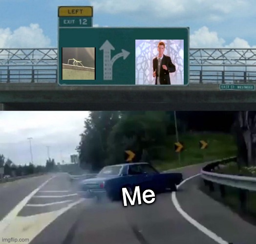 Left Exit 12 Off Ramp Meme | Me | image tagged in memes,left exit 12 off ramp | made w/ Imgflip meme maker