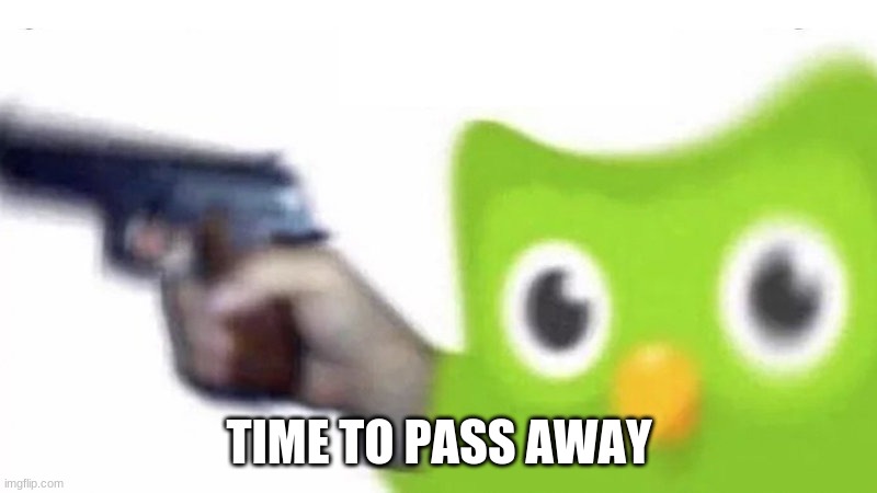 duolingo gun | TIME TO PASS AWAY | image tagged in duolingo gun | made w/ Imgflip meme maker