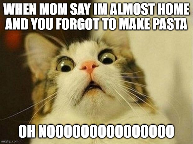 Scared Cat Meme | WHEN MOM SAY IM ALMOST HOME AND YOU FORGOT TO MAKE PASTA; OH NOOOOOOOOOOOOOOO | image tagged in memes,scared cat | made w/ Imgflip meme maker
